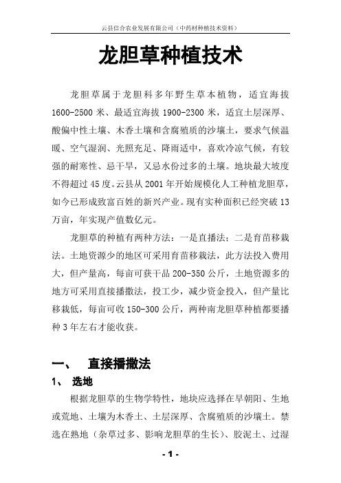 龙胆草种植技术-云县信合农业发展有限公司
