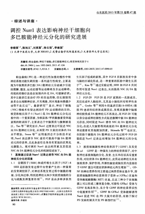 调控Nurr1表达影响神经干细胞向多巴胺能神经元分化的研究进展