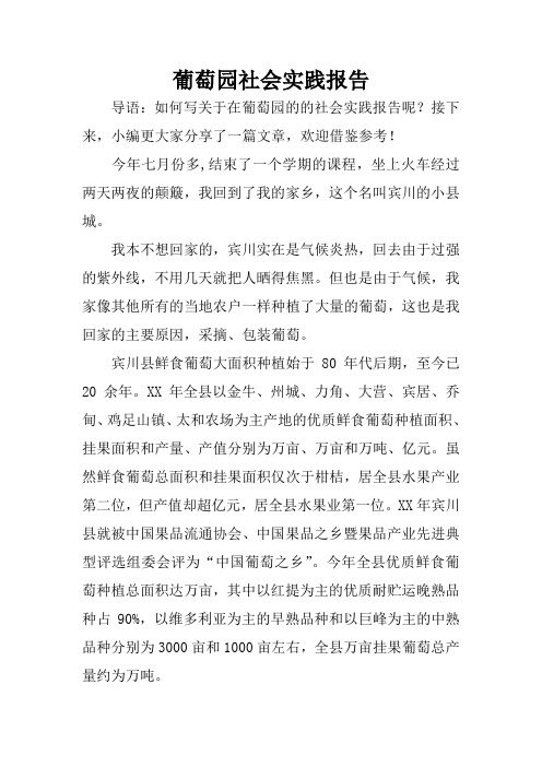 葡萄园社会实践报告