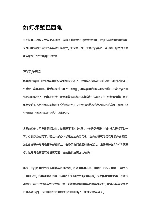 如何养殖巴西龟