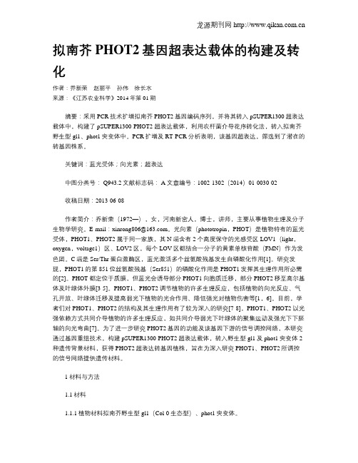 拟南芥PHOT2基因超表达载体的构建及转化