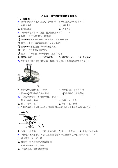 八年级上册生物期末模拟复习重点