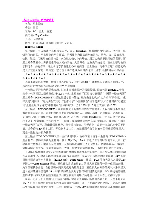 Top Combine 组合简介
