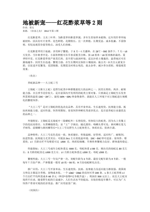 地被新宠——红花酢浆草等2则