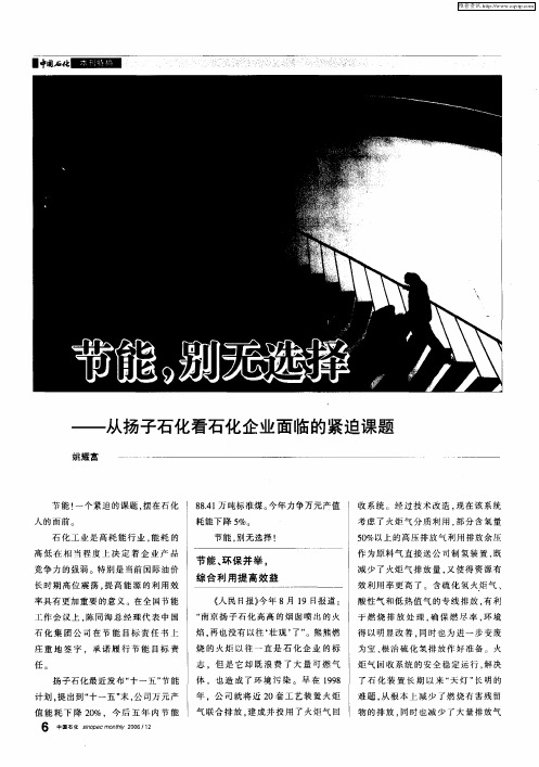 节能,别无选择——从扬子石化看石化企业面临的课题