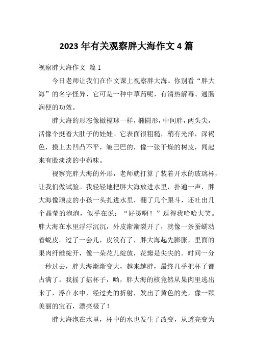 2023年有关观察胖大海作文4篇