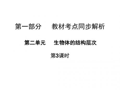 广东省中山市人教版初中生物实验中考复习课件   第二