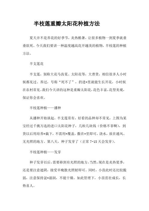 半枝莲重瓣太阳花种植方法