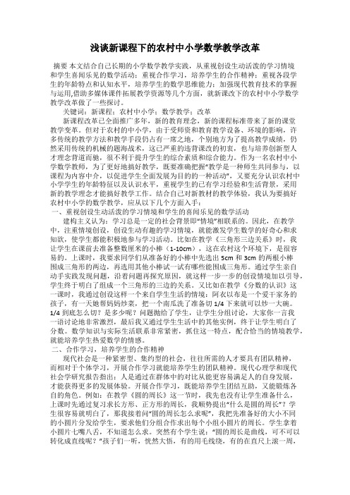 浅谈新课程下的农村中小学数学教学改革
