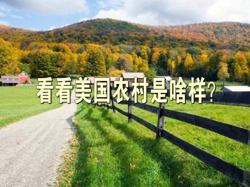12-10-25高二地理《第二章区域可持续发展第四节区域农业的可持续发展》(课件).ppt