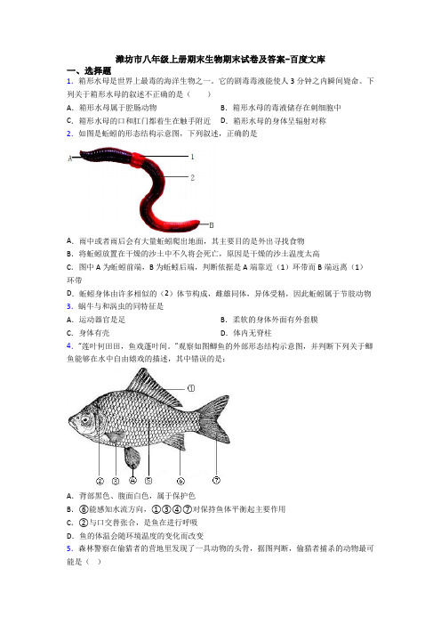 潍坊市八年级上册期末生物期末试卷及答案-百度文库