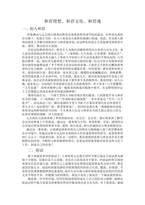 和君咨询-面试感想