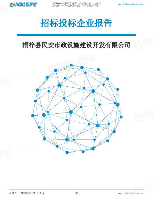 桐梓县民安市政设施建设开发有限公司-招投标数据分析报告