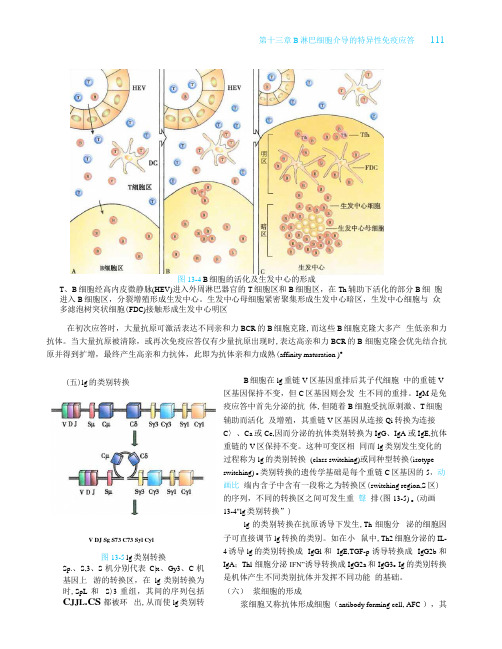 《医学免疫学》人卫第9版教材--高清彩色_121-160