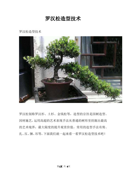 罗汉松造型技术