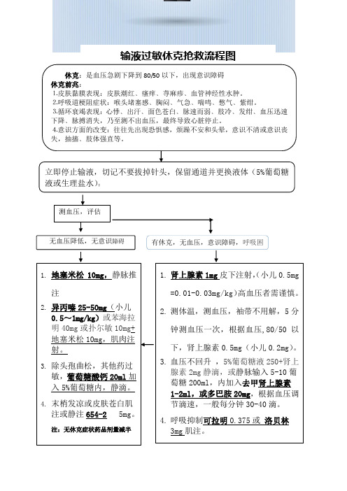 输液过敏休克抢救流程图