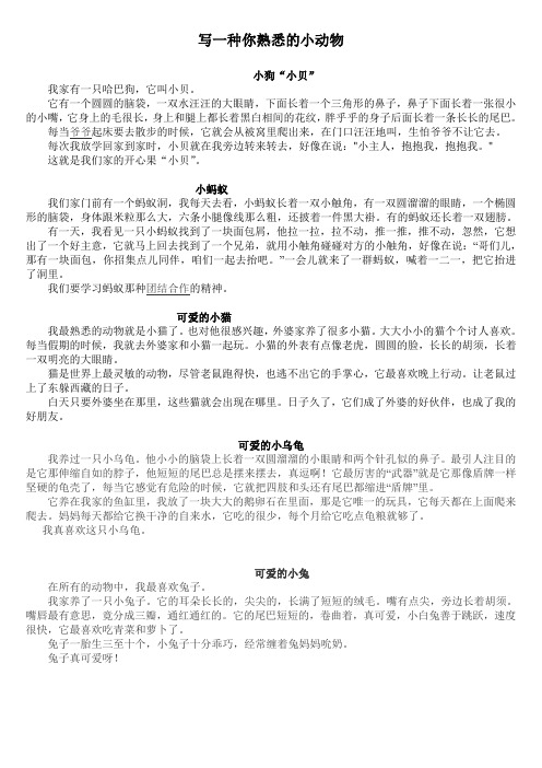写一种你熟悉的小动物