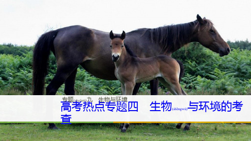 高三生物二轮专题复习 专题九 生物与环境 高考热点专题四 生物与环境的考查课件 