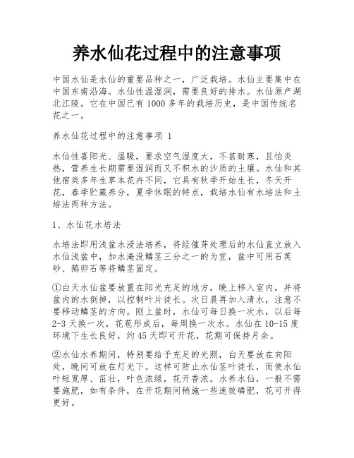 养水仙花过程中的注意事项