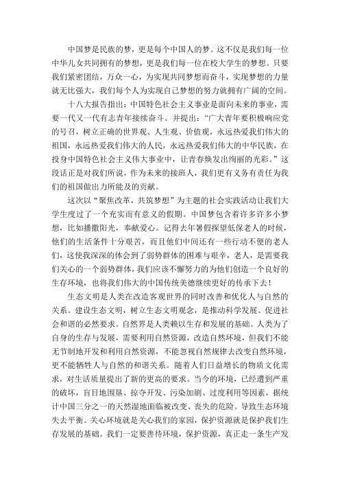 中国梦实践报告