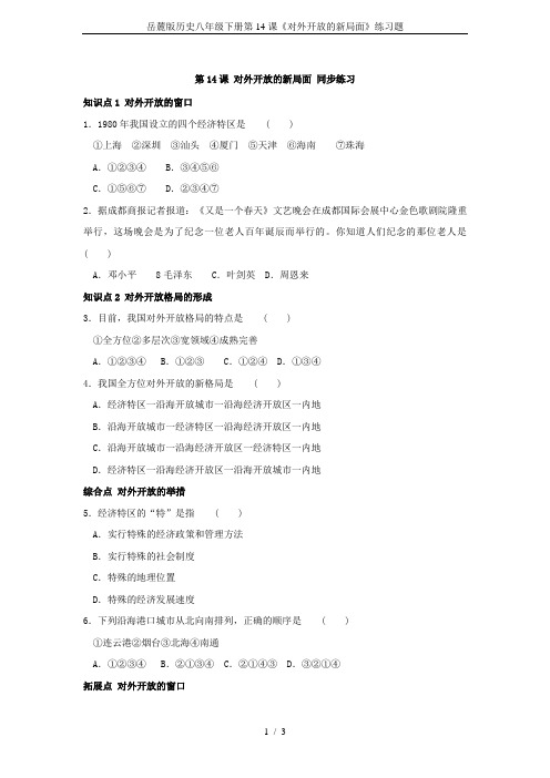 岳麓版历史八年级下册第14课《对外开放的新局面》练习题