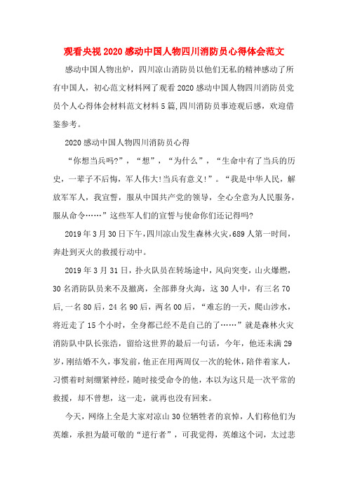 观看央视2020感动中国人物四川消防员心得体会范文