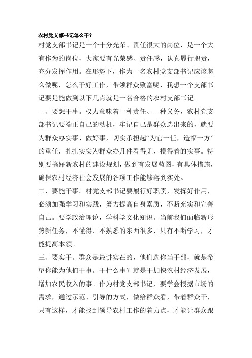 农村党支部书记怎么干