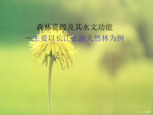 森林资源及其水文功能PPT课件