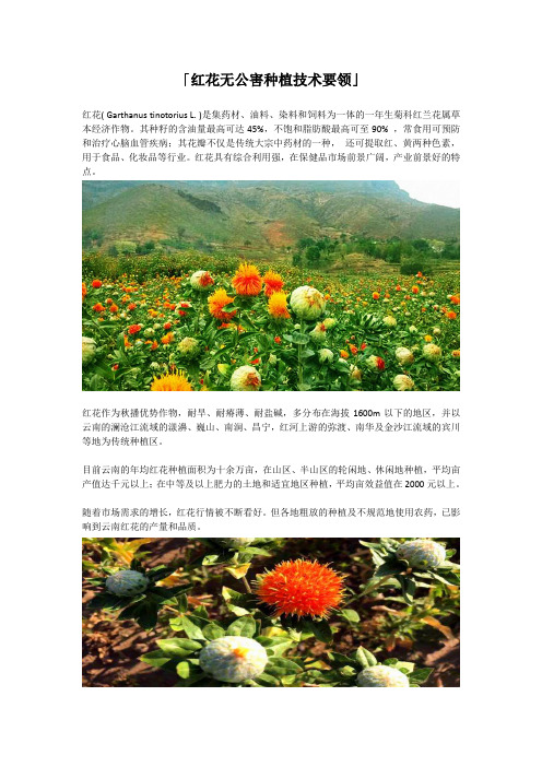 红花种植技术要领
