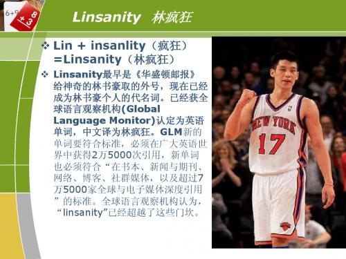 林书豪linsanity