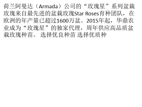 盆栽迷你玫瑰生产栽培技术PPT课件