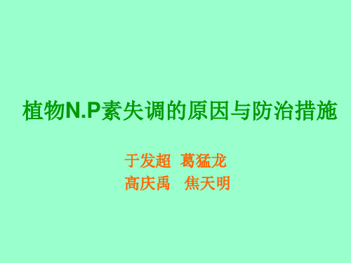 植物N.P素失调的原因与防治措施