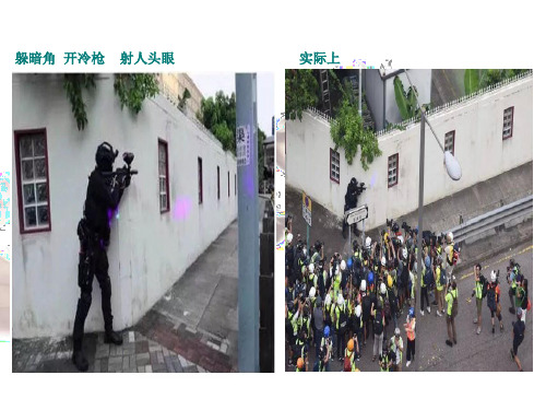一条鱼和它的池塘阅读PPT