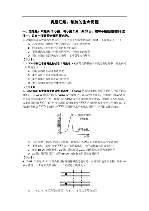 细胞的生命历程(高考生物一轮复习