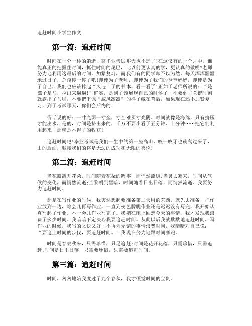 追赶时间小学生作文