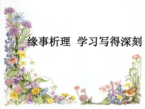 缘事析理
