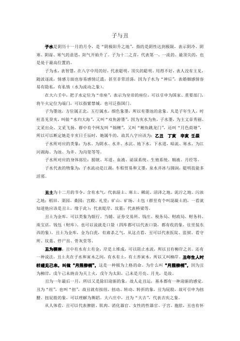 解惑者周易讲解十二地支之子丑