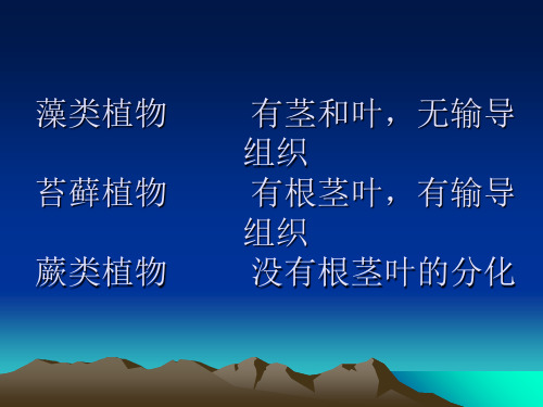 三年级下册科学-植物的种子优秀课件人教版1
