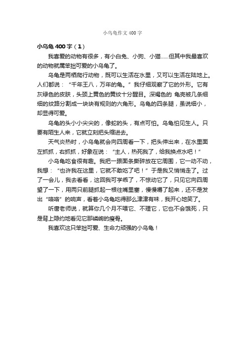 小乌龟作文400字_小学五年级作文_