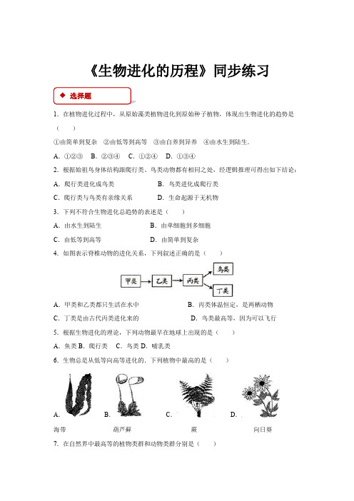 初中人教版生物八年级下册7.3.2【同步练习】《生物进化的历程》