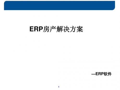 某跨国IT公司ERP房地产解决方案-PPT课件
