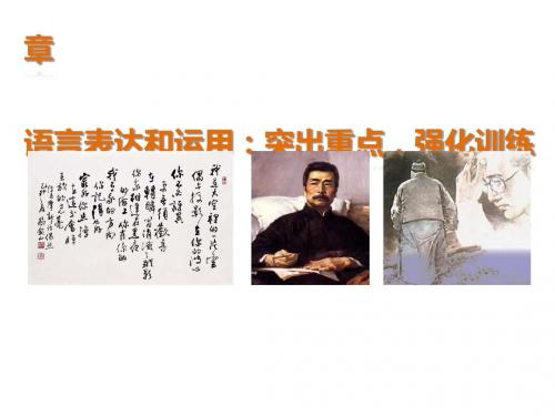 2015届高考语文(福建专用)大二轮复习问题诊断与突破ppt (15)