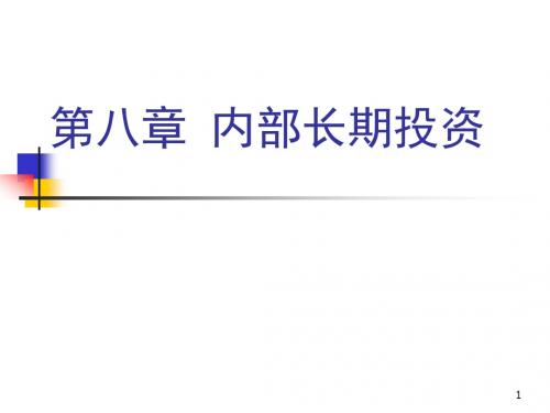 第八章内部长期投资