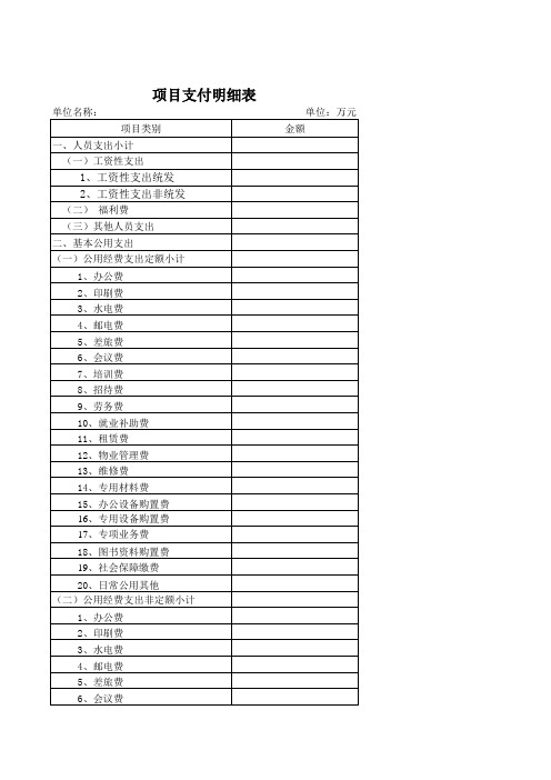 支出项目明细表