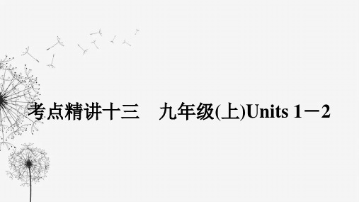 译林版中考英语复习考点精讲十三九年级(上) Units 1-2课件