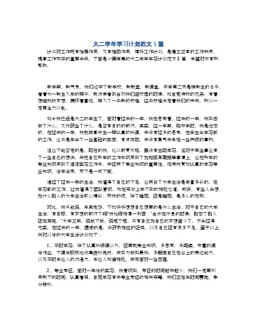 大二学年学习计划范文5篇