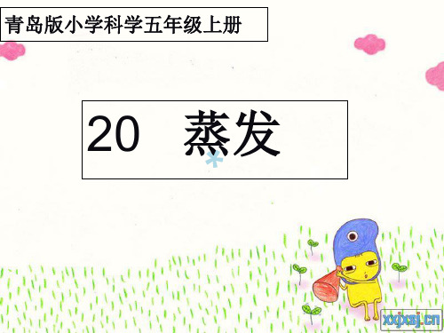 科学课件21沸腾