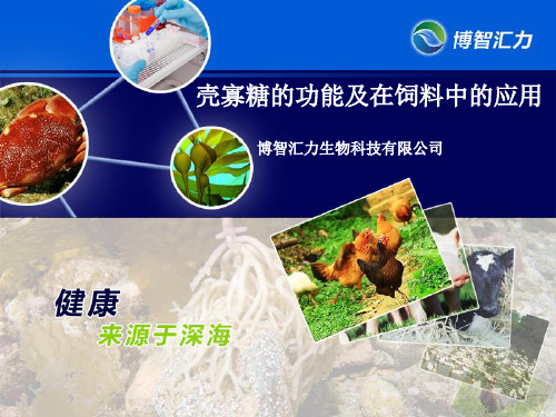 壳寡糖在饲料行业中的应用(1)