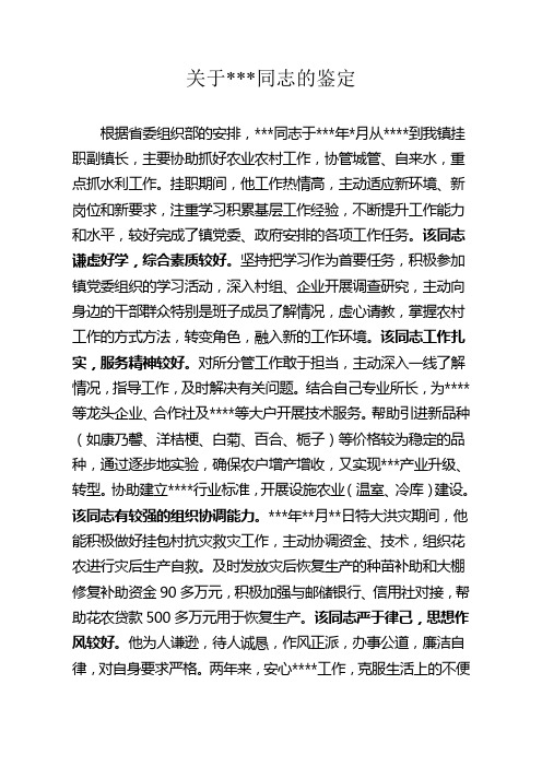 关于某某同志的鉴定