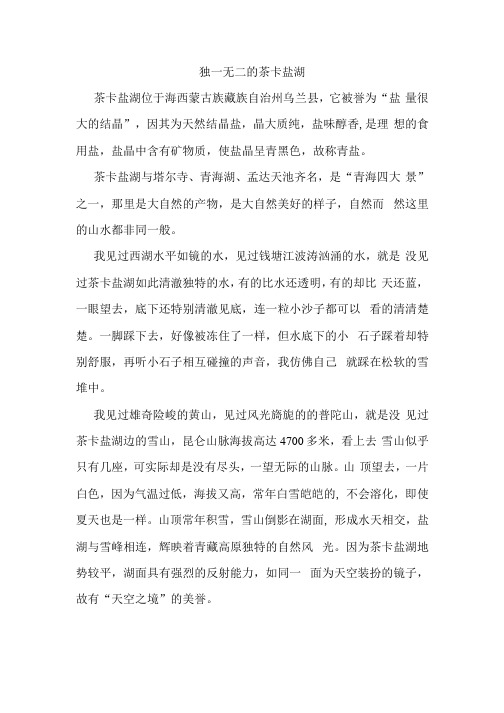 独一无二的茶卡盐湖